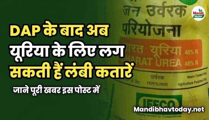 DAP के बाद अब यूरिया के लिए लग सकती हैं लंबी कतारें | जाने पूरी खबर