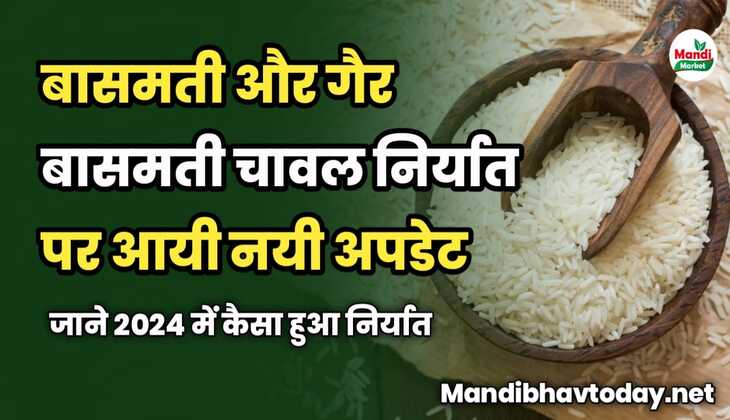 बासमती और गैर बासमती चावल निर्यात पर आयी नयी अपडेट | जाने 2024 में कैसा हुआ निर्यात