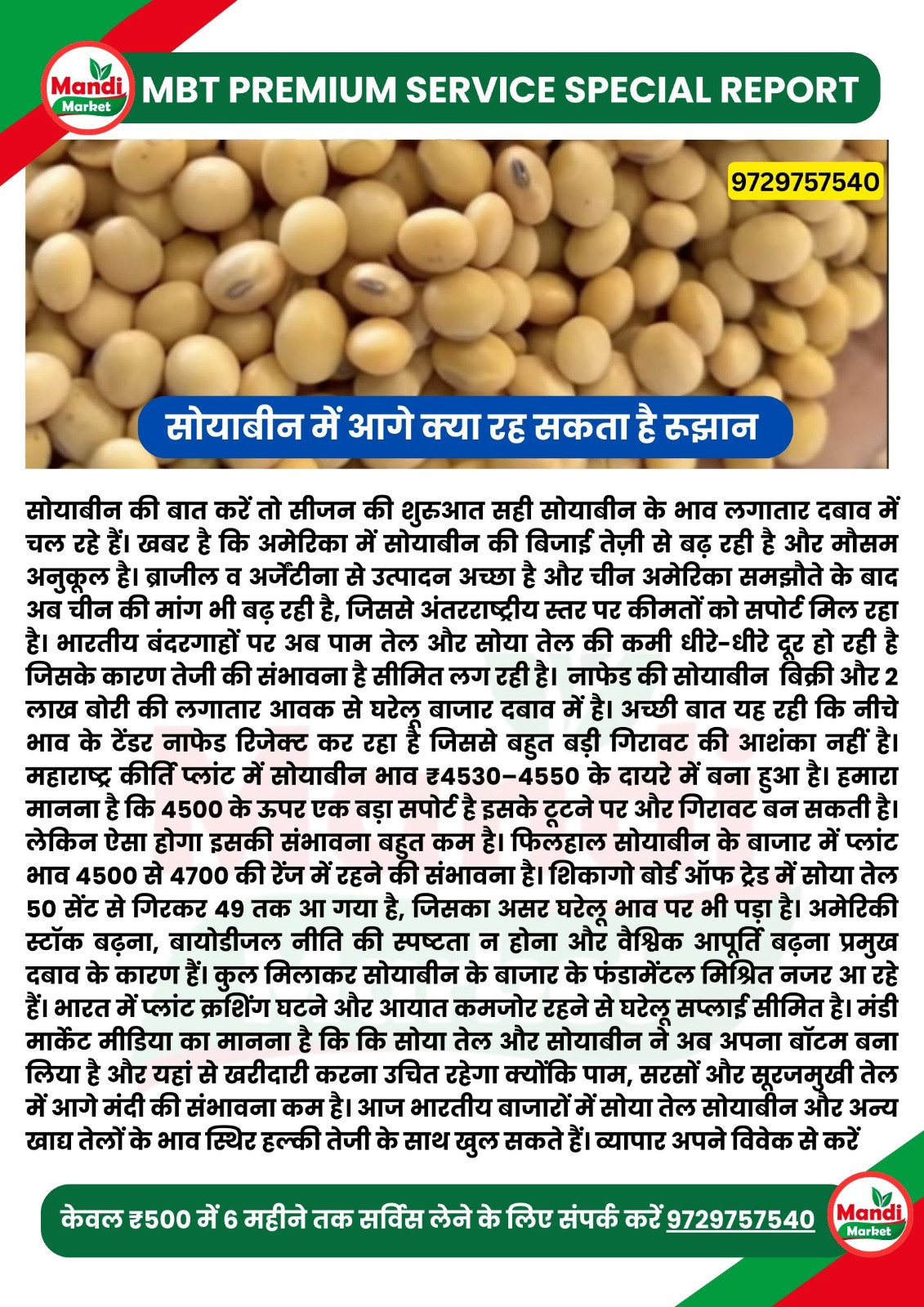 soyabean images 