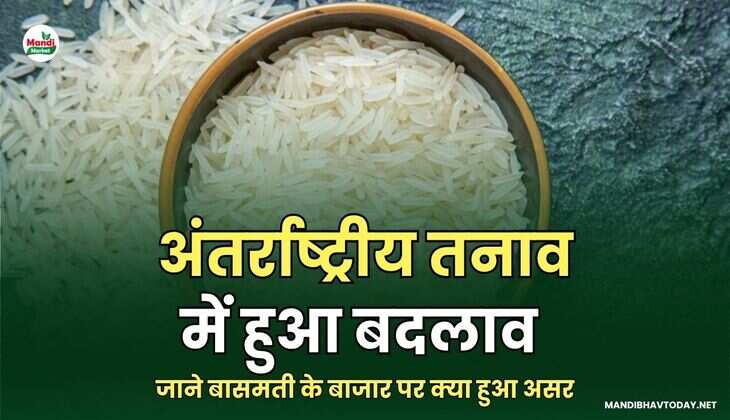 basmati images