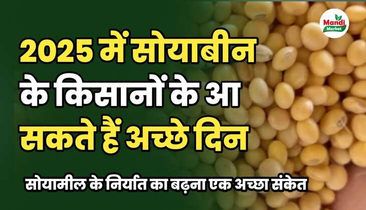 2025 में सोयाबीन के किसानों के आ सकते हैं अच्छे दिन | जाने क्या है इसकी वज़ह