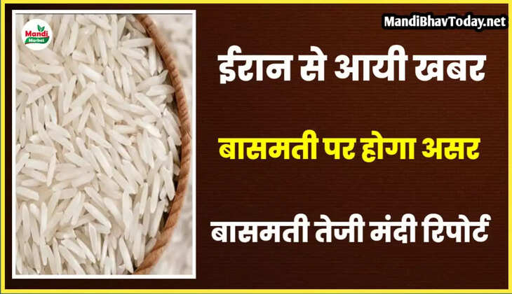 basmati report
