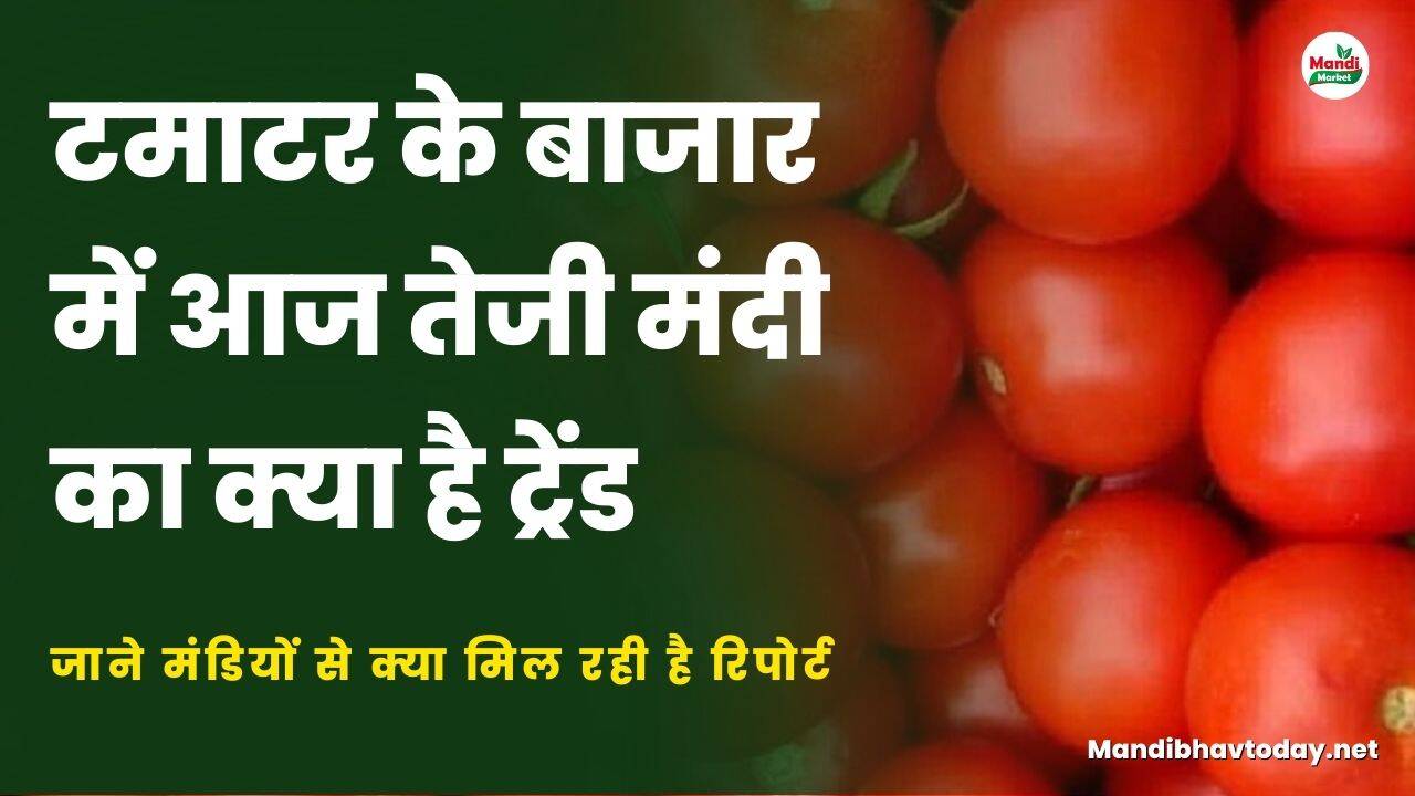 जाने मंडियों से क्या मिल रही है रिपोर्ट