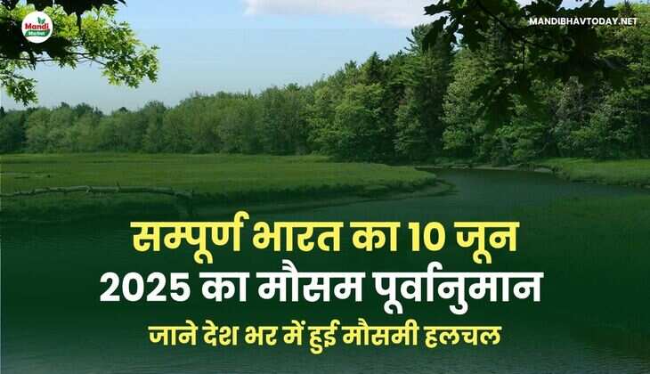 सम्पूर्ण भारत का 10 जून 2025 का मौसम पूर्वानुमान | जाने देश भर में हुई मौसमी हलचल