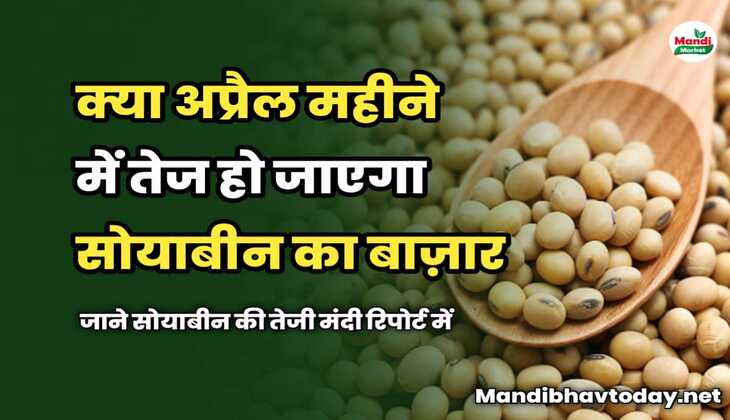 क्या अप्रैल महीने में तेज हो जाएगा सोयाबीन का बाज़ार | जाने सोयाबीन की तेजी मंदी रिपोर्ट में 