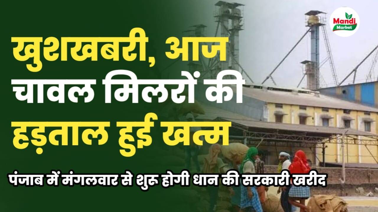 dhan rate good news