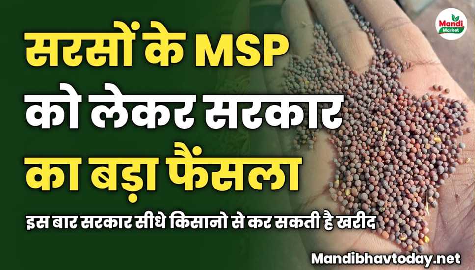 सरसों के MSP को लेकर सरकार का बड़ा फैंसला | इस बार सरकार सीधे किसानो से कर सकती है खरीद