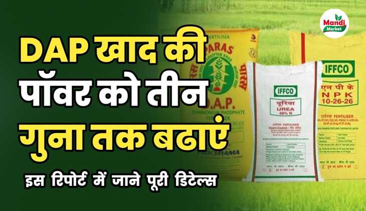 DAP खाद की पॉवर को तीन गुना तक बढ़ाए | इस रिपोर्ट में जाने पूरी डिटेल्स