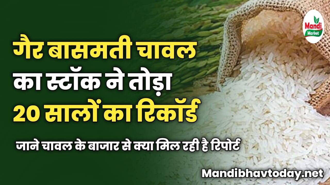 गैर बासमती चावल का स्टॉक ने तोड़ा 20 सालों का रिकॉर्ड | जाने चावल के बाजार से क्या मिल रही है रिपोर्ट