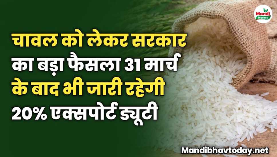 चावल को लेकर सरकार का बड़ा फैसला | 31 मार्च के बाद भी जारी रहेगी 20% एक्सपोर्ट ड्यूटी