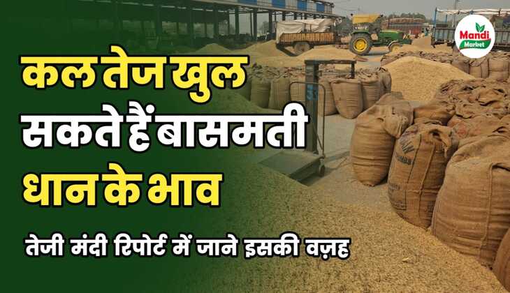 कल तेज खुल सकते हैं बासमती के भाव | जाने क्या है इसकी वज़ह