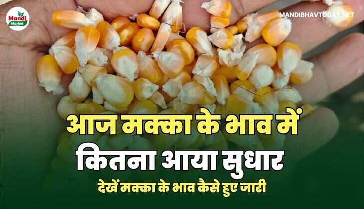 मक्का image