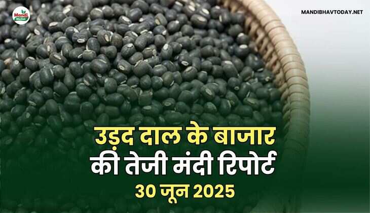 uradd daal