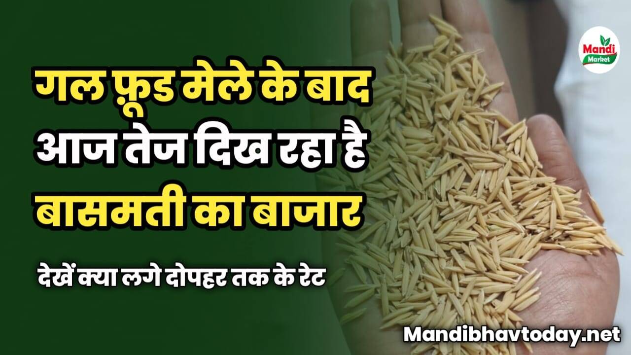 गल फ़ूड मेले के बाद आज तेज दिख रहा है बासमती का बाजार | देखें क्या लगे दोपहर तक के रेट