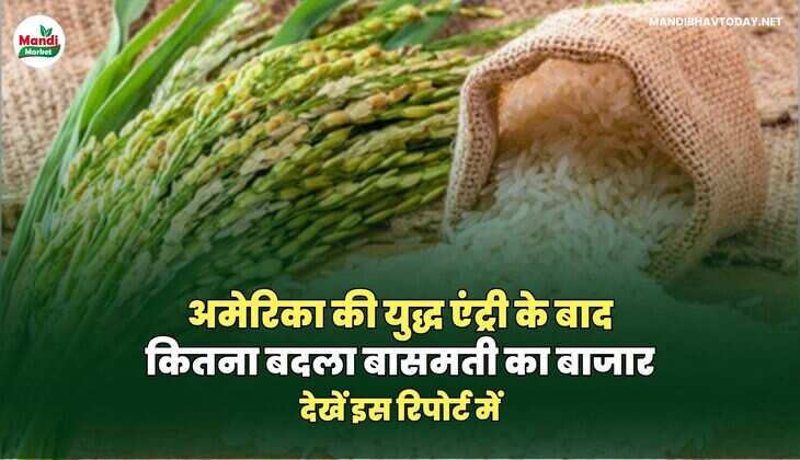 बासमती images