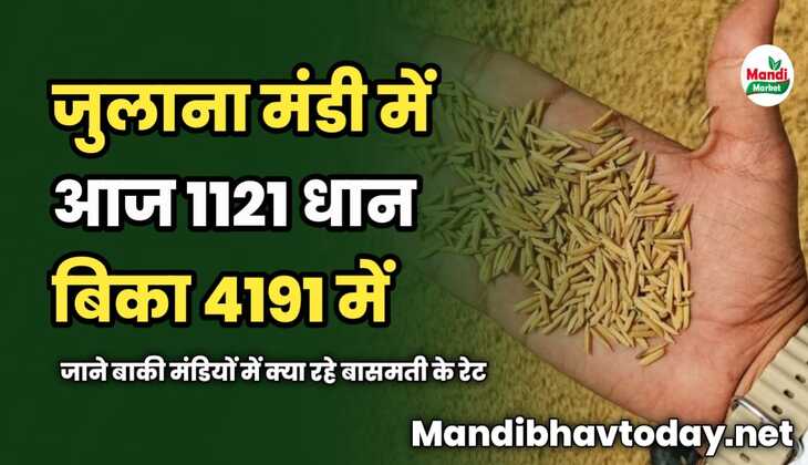 जुलाना मंडी में आज 1121 धान बिका 4191 में | जाने बाकी मंडियों में क्या रहे बासमती के रेट