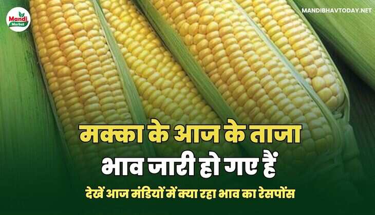 मक्का IMAGES