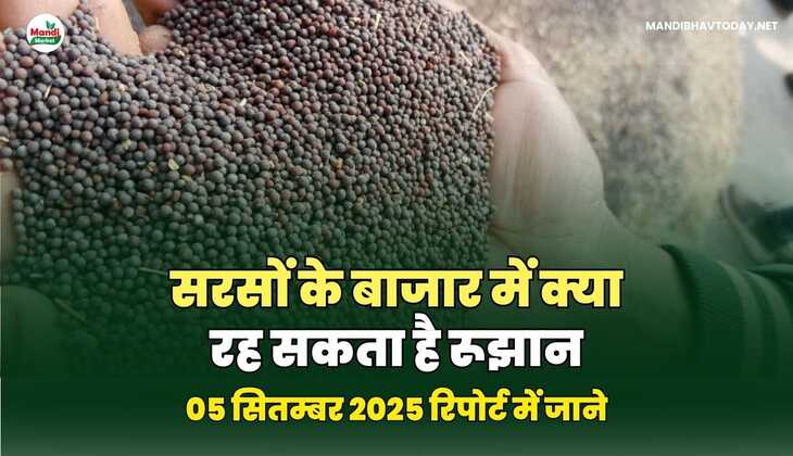 सरसों IMAGES