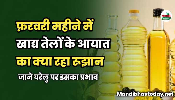 फ़रवरी महीने में खाद्य तेलों के आयात का क्या रहा रूझान | जाने घरेलु पर इसका प्रभाव