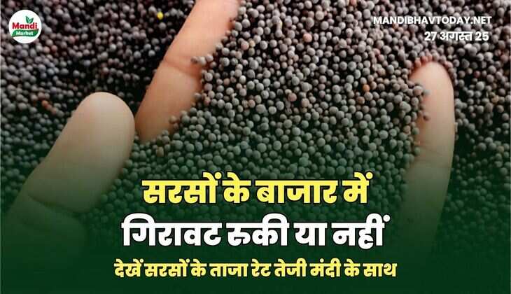 सरसों IMAGES