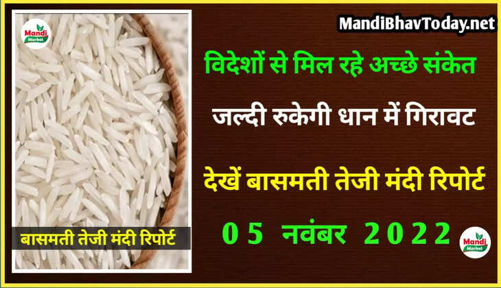 basmati rice rate
