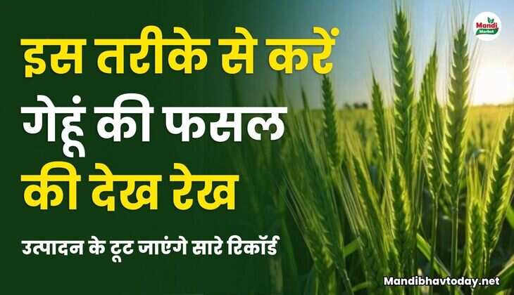 उत्पादन के टूट जाएंगे सारे रिकॉर्ड 