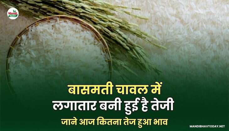 राइस इमागेस 