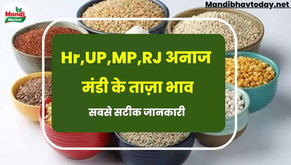 देखें आज के गेहूं, नरमा, ग्वार, चना, जौ, सरसों, अरंडी, धान आदि फसलों के तजा मंडी भाव | Anaj Mandi Rate today 13 June 2024