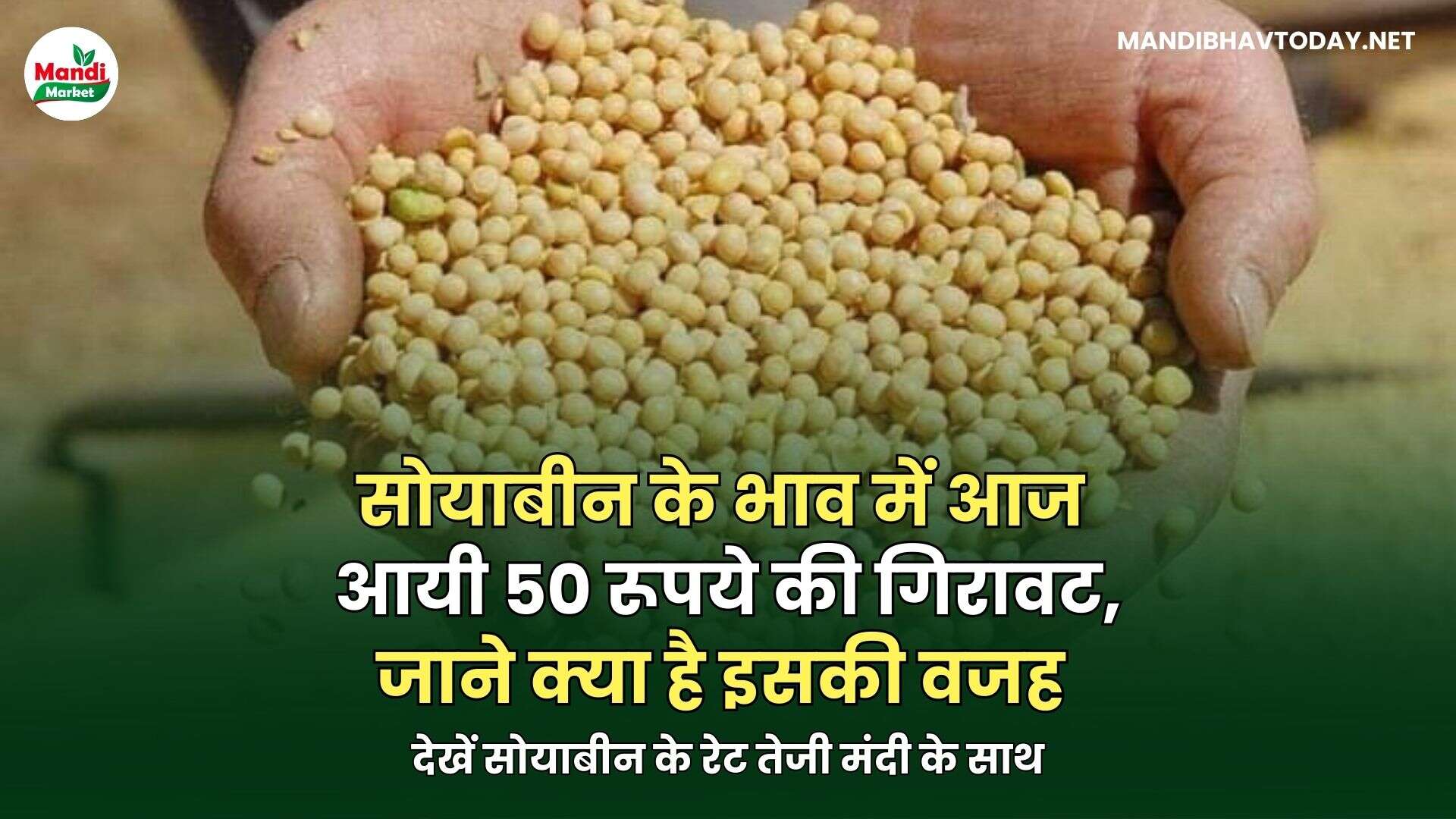 देखें सोयाबीन के रेट तेजी मंदी के साथ