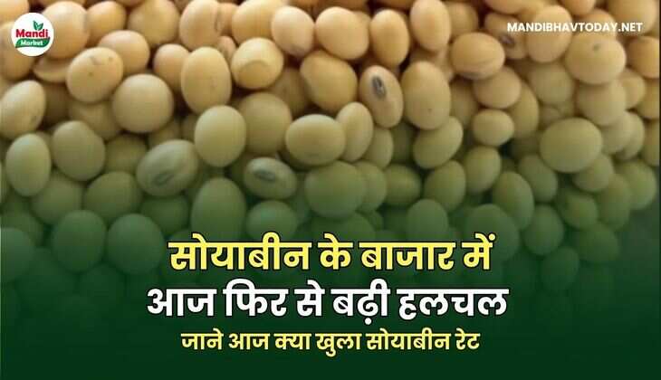 जाने आज क्या खुला सोयाबीन रेट