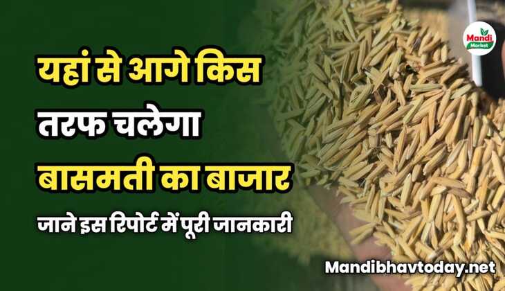 यहां से आगे किस तरफ चलेगा बासमती का बाजार | जाने इस रिपोर्ट में
