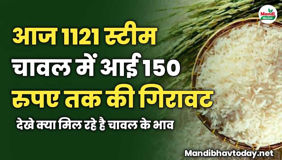 आज 1121 स्टीम चावल में आई 150 रुपए तक की गिरावट | देखे क्या मिल रहे है चावल के भाव 