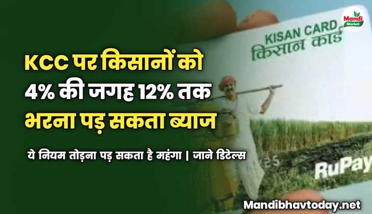 KCC पर किसानों को 4% की जगह 12% तक भरना पड़ सकता ब्याज | ये नियम तोड़ना पड़ सकता है महंगा | जाने डिटेल्स 