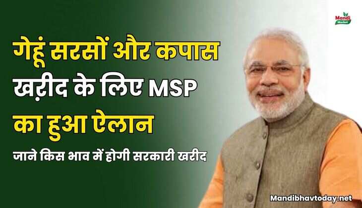 गेहूं सरसों और कपास खऱीद के लिए MSP का हुआ एलान | जाने किस भाव में होगी सरकारी खरीद