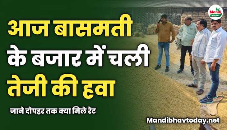 बासमती के बजार में आज चली तेजी की हवा | जाने दोपहर तक क्या मिले रेट