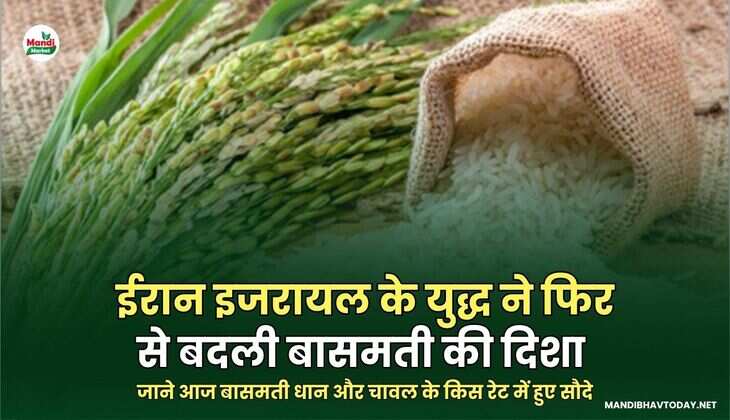 बासमती इमागेस 