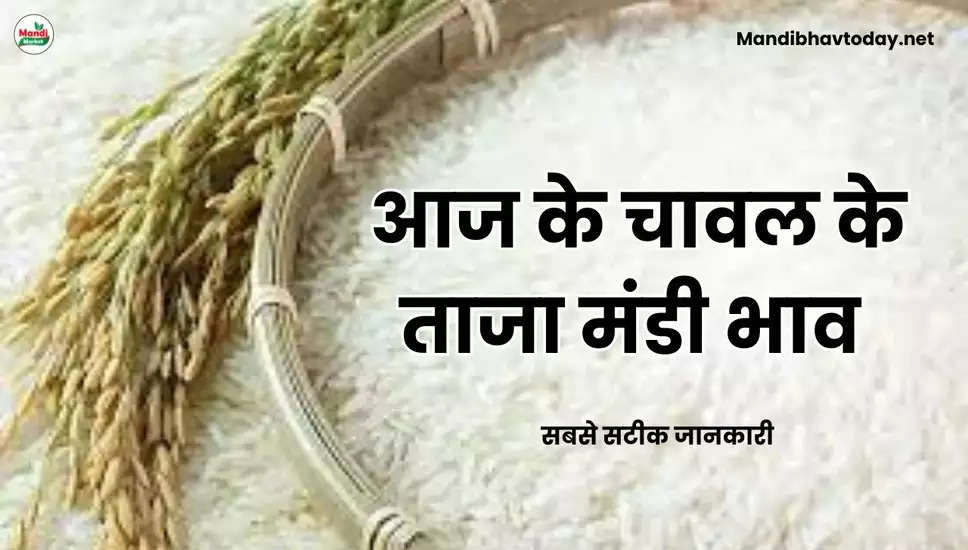 बासमती चावल के ताजा भाव Basmati Rice Rate 09 May 2024