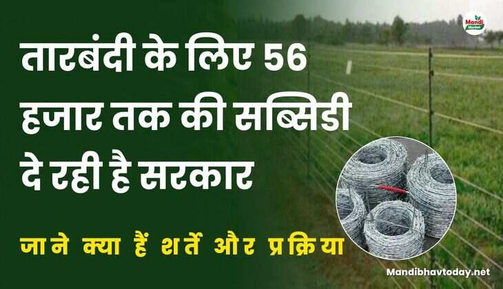तारबंदी के लिए 56 हजार तक की सब्सिडी दे रही है सरकार | जाने क्या हैं शर्ते और प्रक्रिया