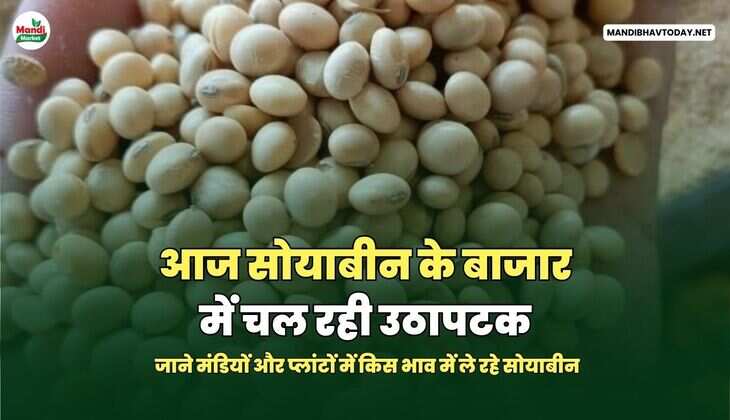 mandibhavtoday