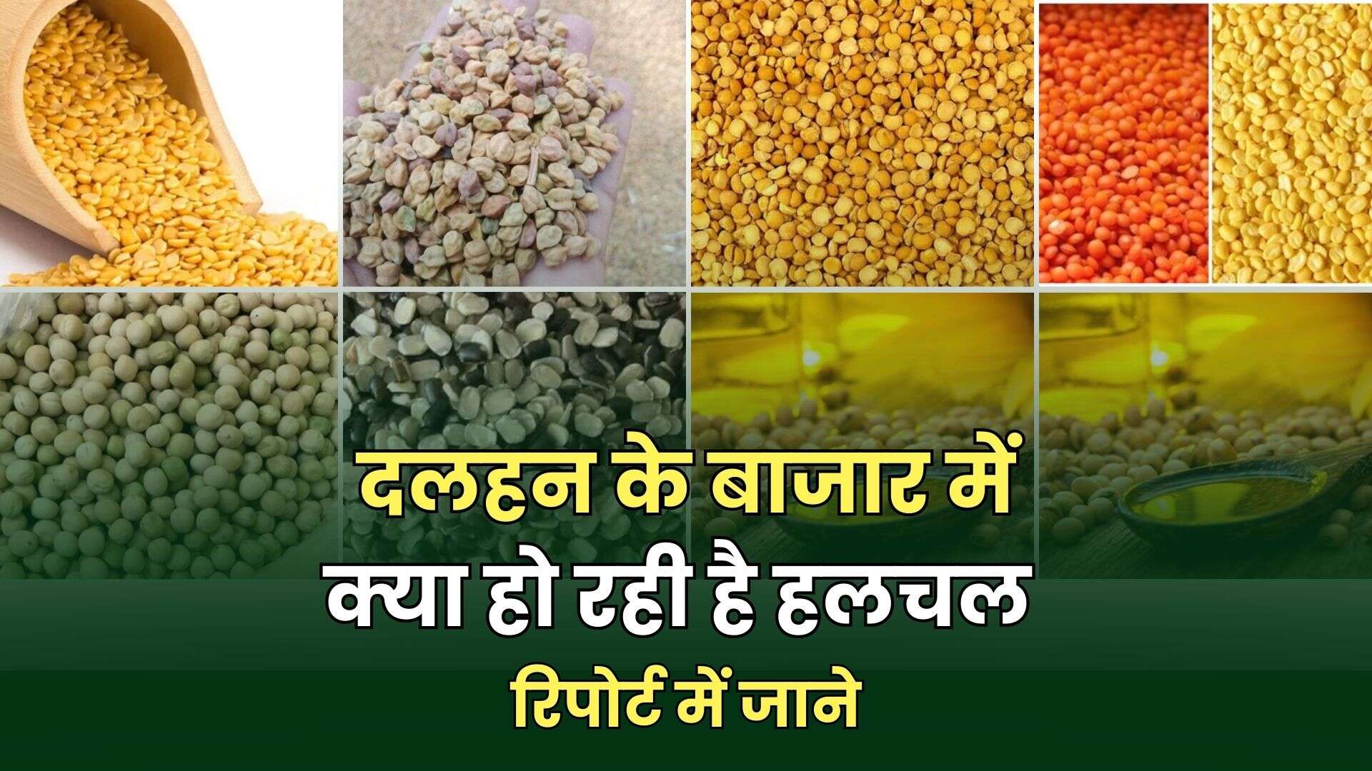 दलहन के बाजार में क्या हो रही है हलचल रिपोर्ट में जाने