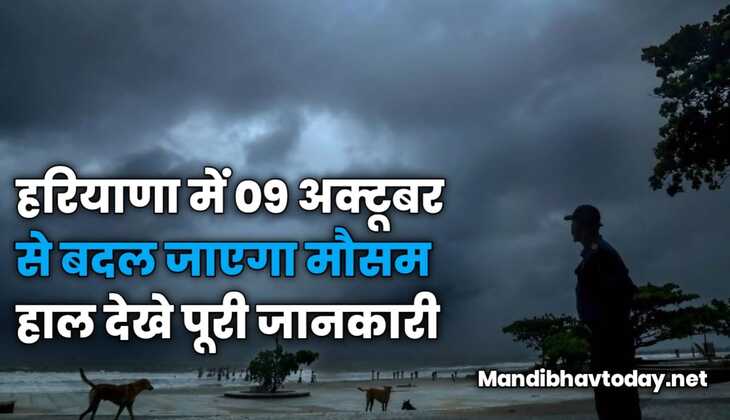 हरियाणा में 09 अक्टूबर से बदल जाएगा मौसम हाल | देखे पूरी जानकारी 