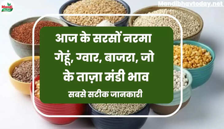 anaj mandi bhav 10 September 22