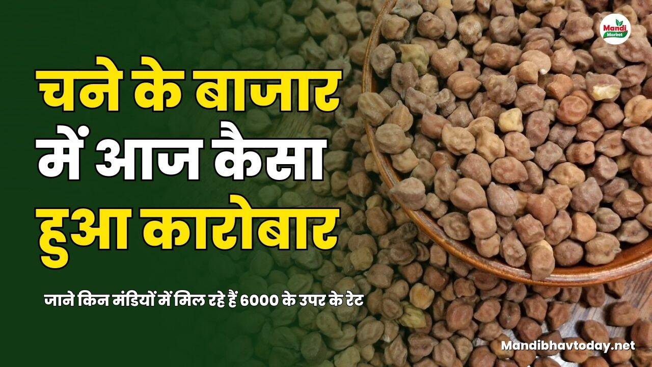 चना