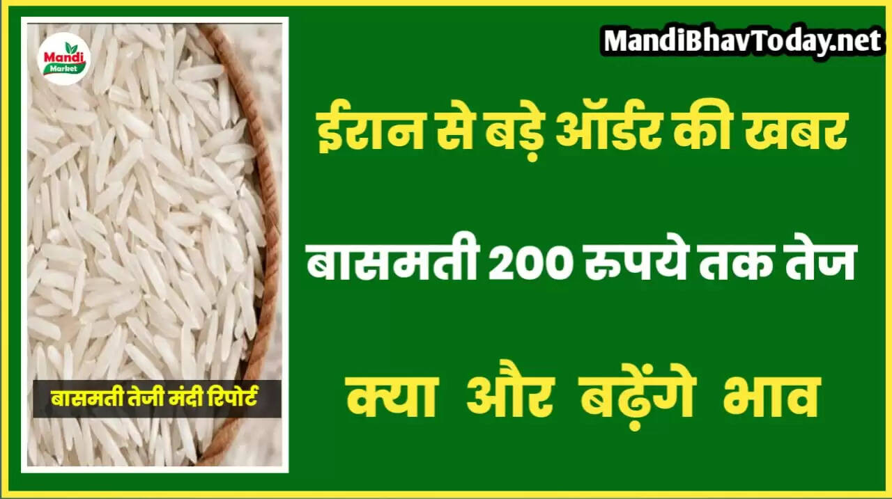 basmati me teji