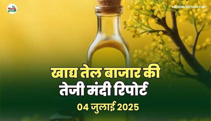  खाद्य तेल बाजार मे तेजी मंदी रिपोर्ट -04  जुलाई 2025