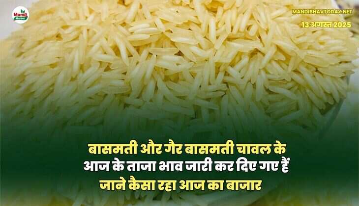 मंडी 