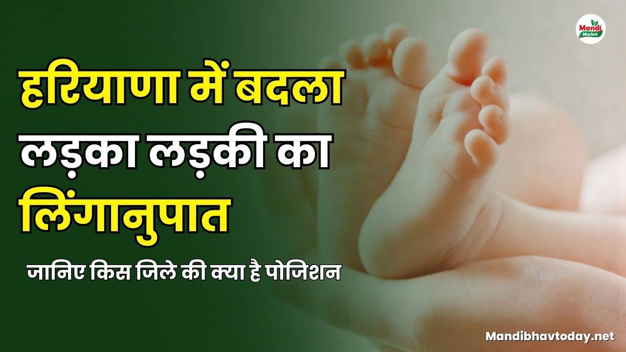 हरियाणा में बदला लड़का लड़की का लिंगानुपात | जानिए किस जिले की क्या है पोजिशन