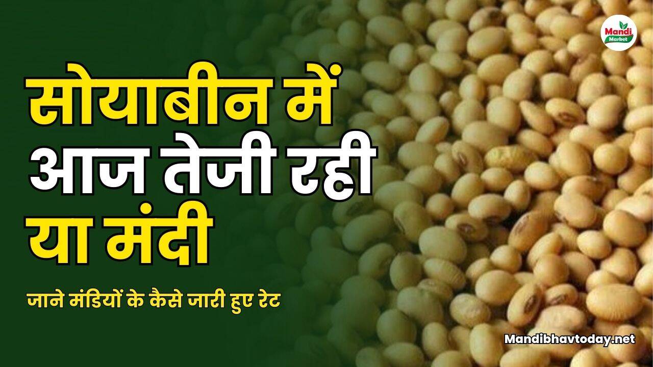 सोयाबीन रेट