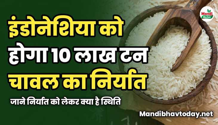 इंडोनेशिया को होगा 10 लाख टन चावल का निर्यात | जाने निर्यात को लेकर क्या है स्थिति