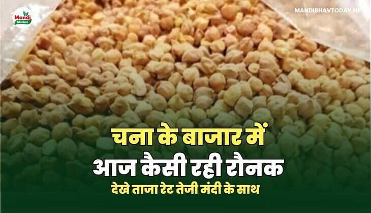  देखे ताजा रेट तेजी मंदी के साथ 